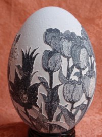 "Tulips In Michagan" - An Emu egg vinegar etched by Satoko Kano