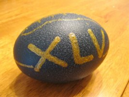 "Go Pack!" - An Emu egg hand painted by Angela Leow